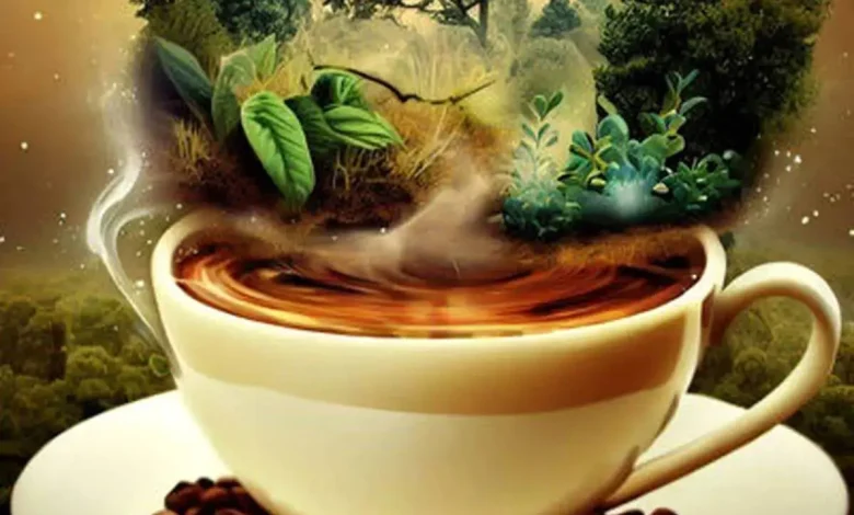 فال قهوه روزانه / فال قهوه فردا دوشنبه 11 تیر ماه 1403 را بخوانید