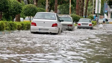 هواشناسی| بارش های رگباری در راه این استانها | پیش بینی تابستان پر بارش برای ایران از امروز 9 تیر