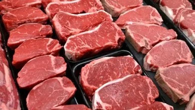 قیمت گوشت سر به فلک گذاشت | قیمت گوشت امروز کیلویی چند؟